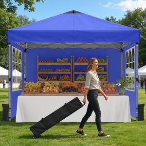 image:imageRaynesys 10x10ft Pop Up Canopy Tent with Sidewalls for Events PartiesBlue